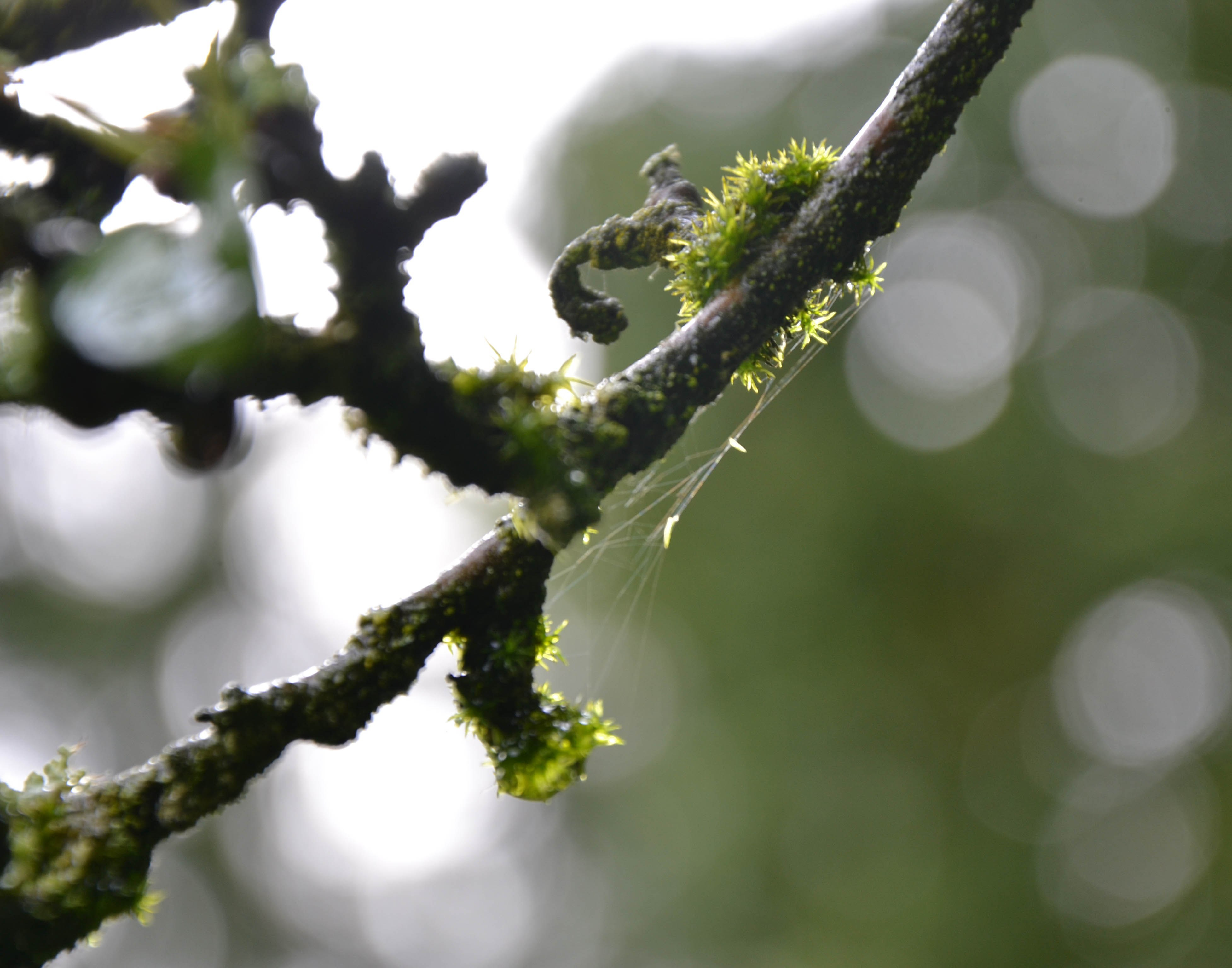 DSC_0782.jpg
